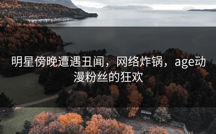 明星傍晚遭遇丑闻，网络炸锅，age动漫粉丝的狂欢